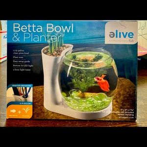 Betta Bowl & Planter with light